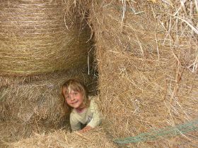 Heuherberge 2007 030.jpg