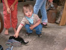 Heuherberge 2007 025.jpg